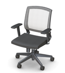 Amenity Chair